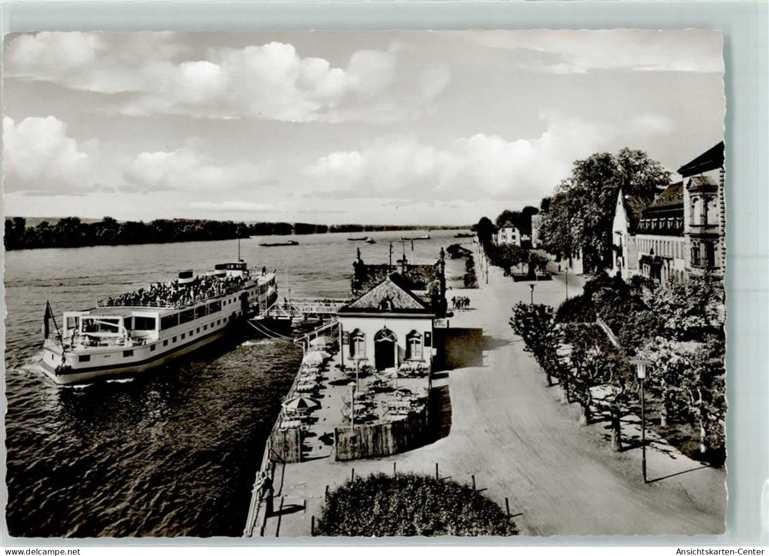 10478859 - Eltville am Rhein