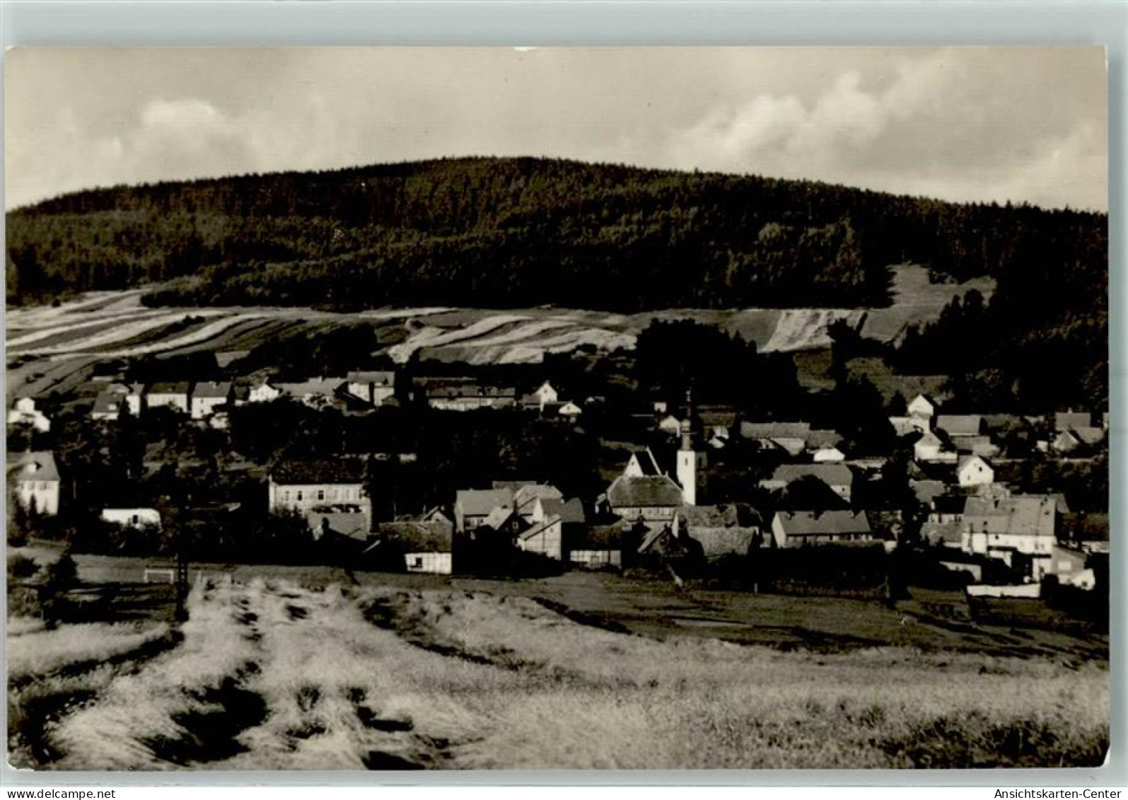 10479424 - Ilmenau , Thuer