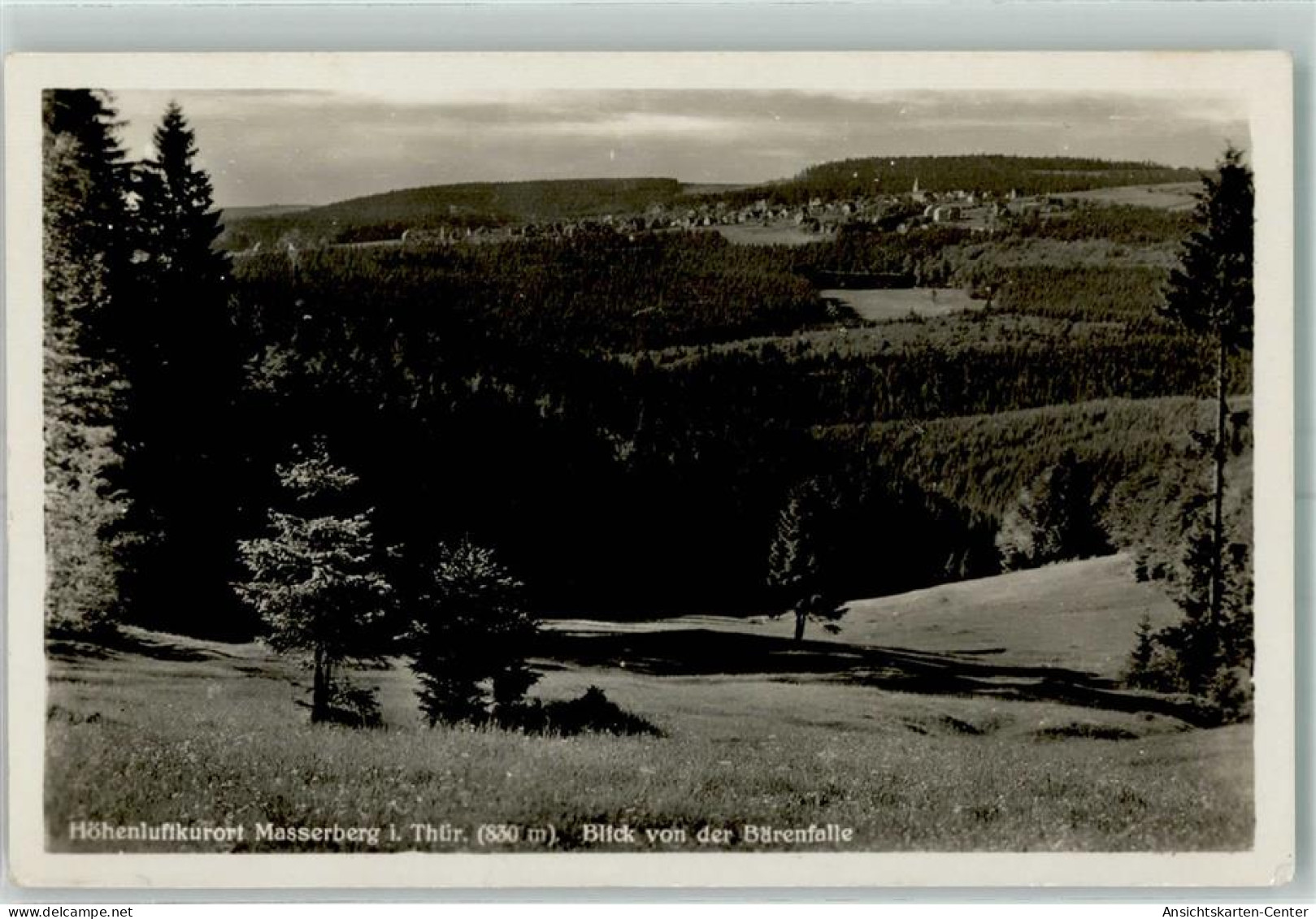 10479687 - Masserberg