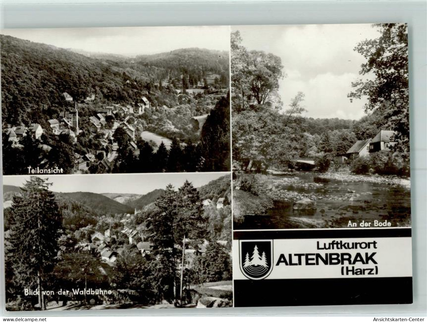 10483907 - Altenbrak