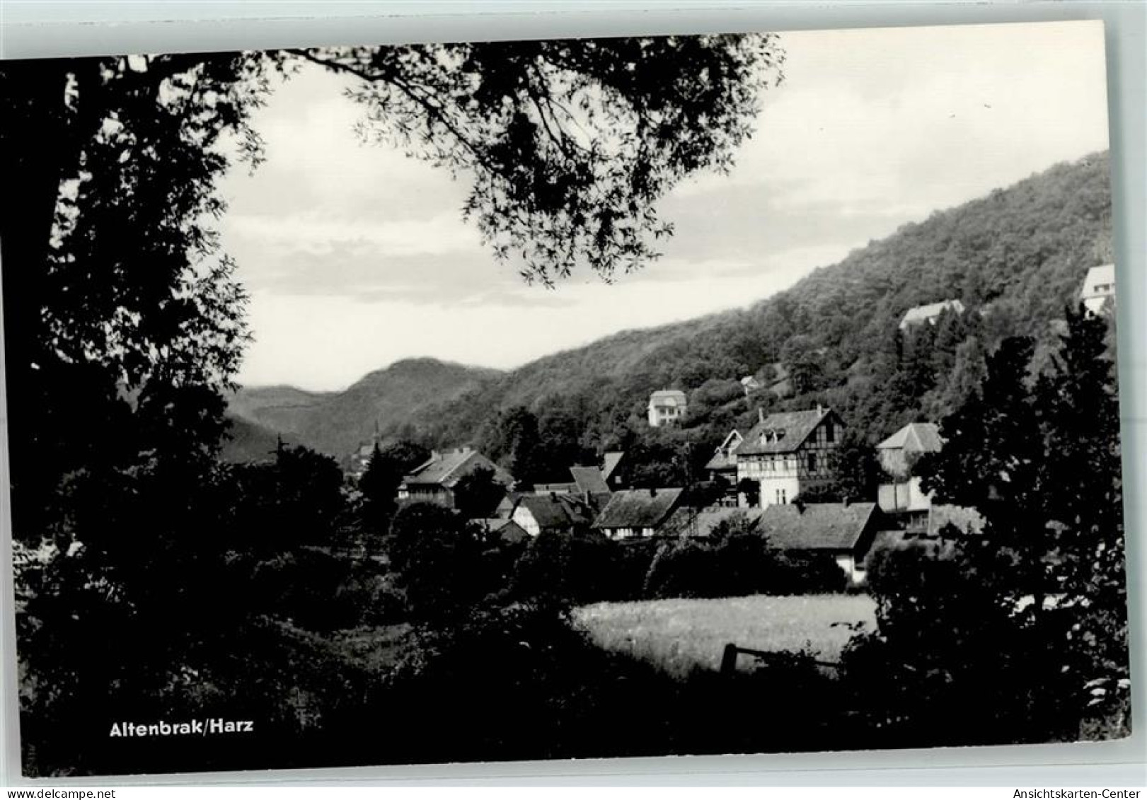 10483916 - Altenbrak