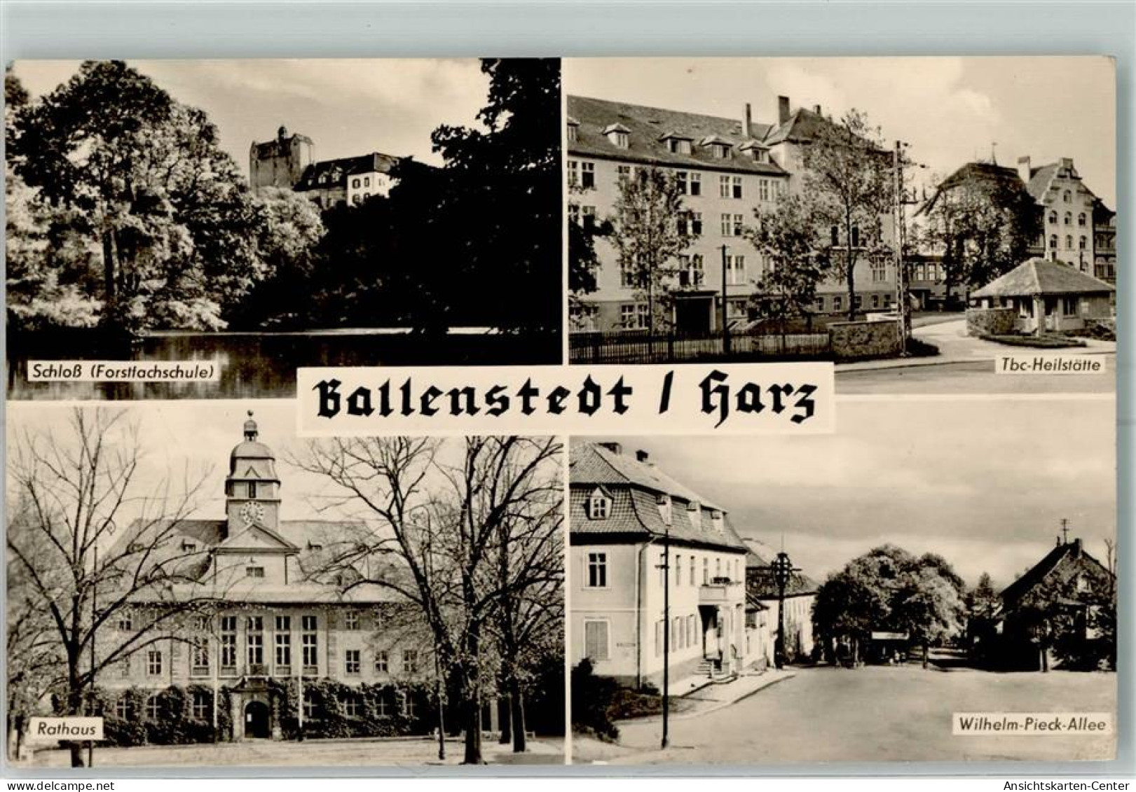 10484009 - Ballenstedt