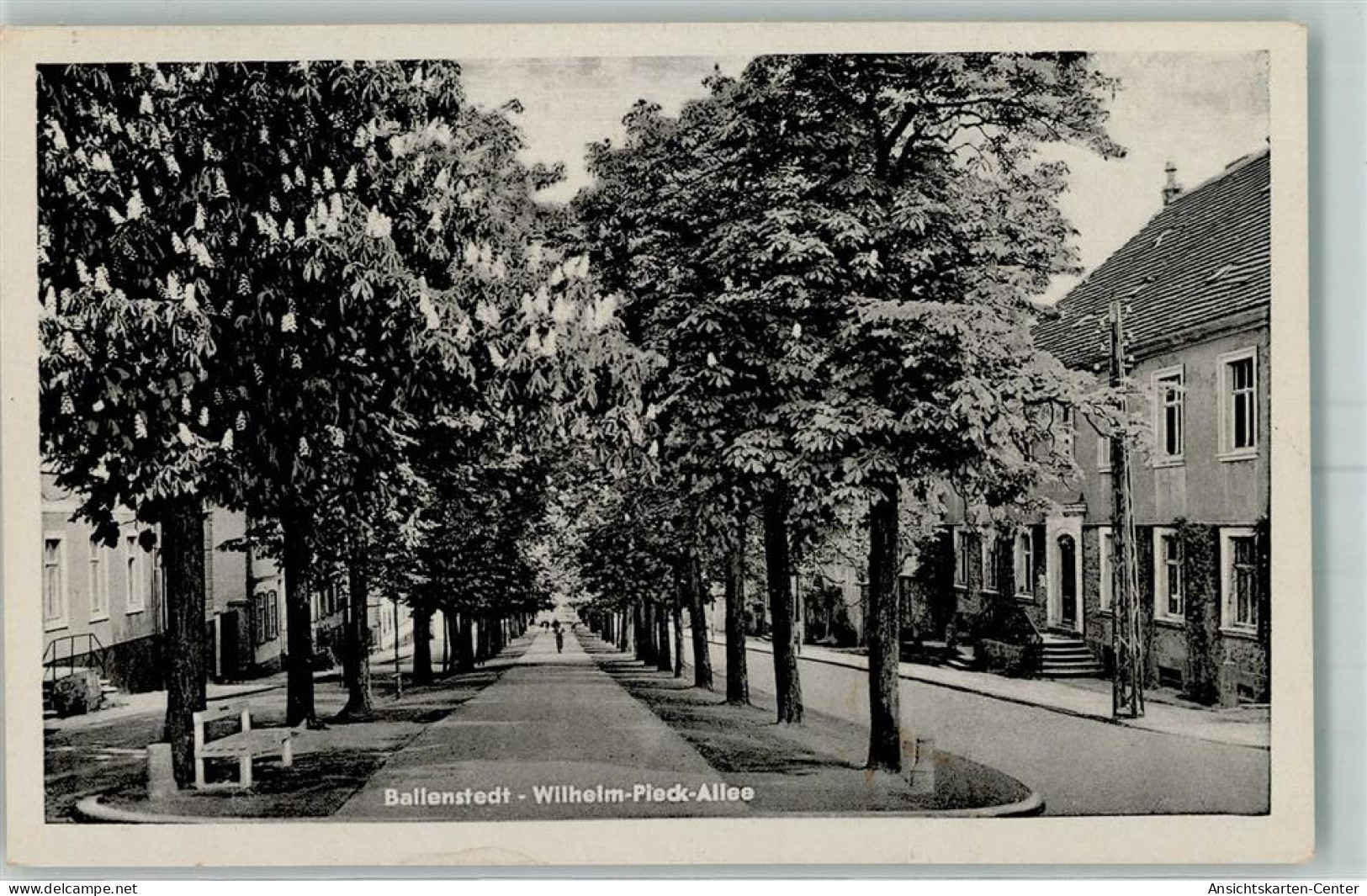 10484010 - Ballenstedt