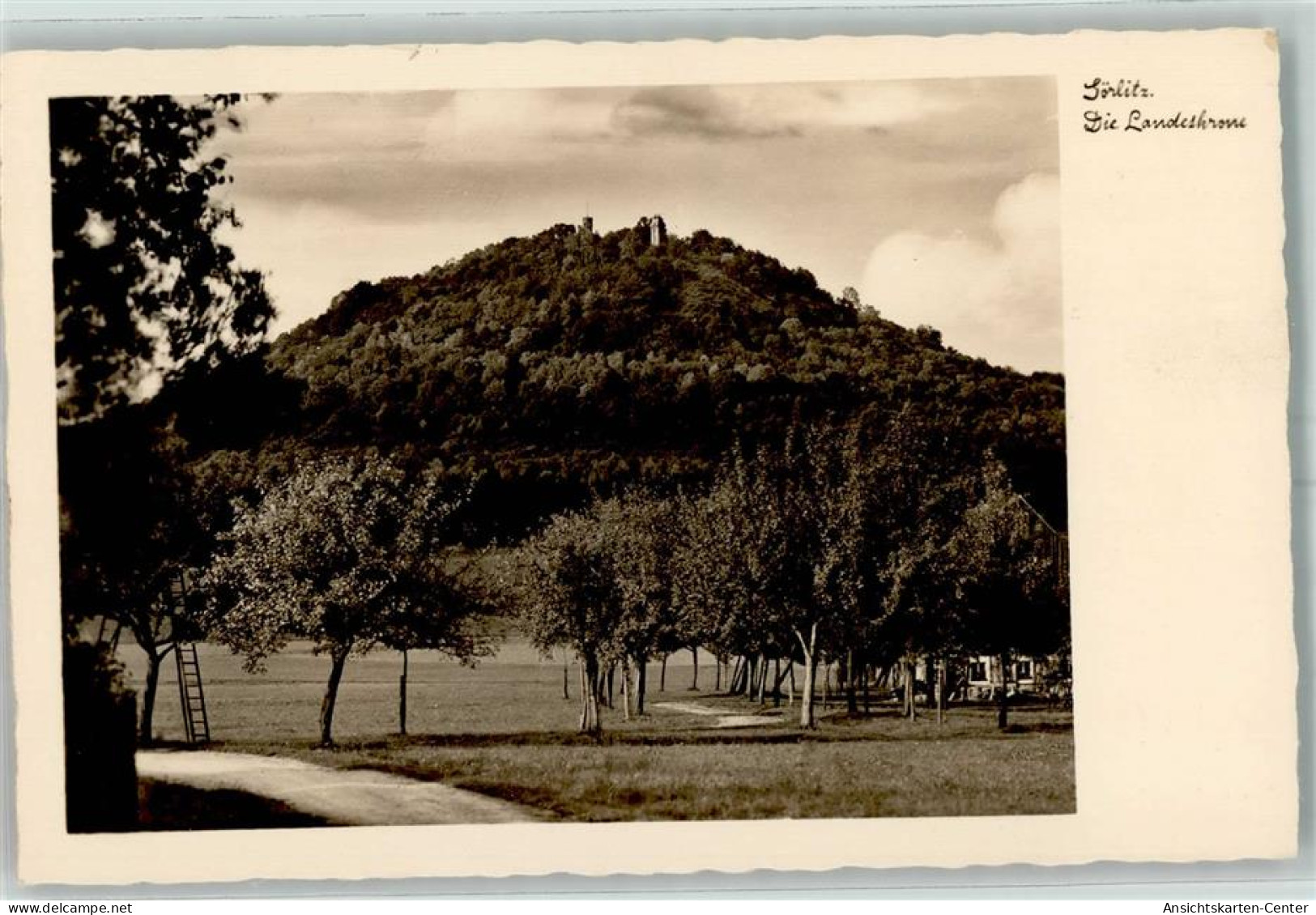 10484457 - Goerlitz , Neisse