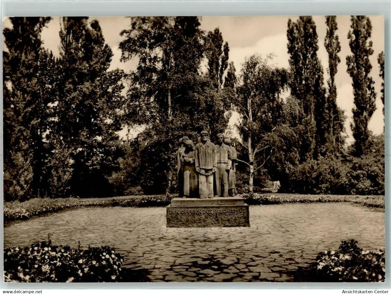 10485645 - Schoenebeck Elbe