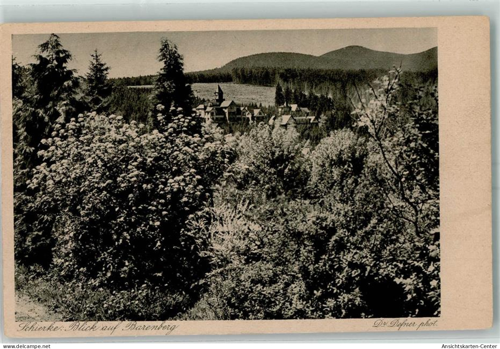 10485931 - Schierke am Brocken