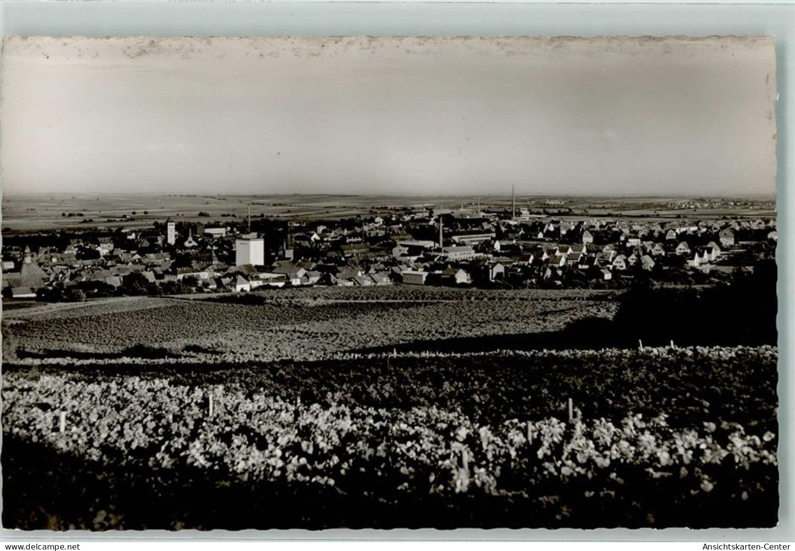 10487787 - Gruenstadt