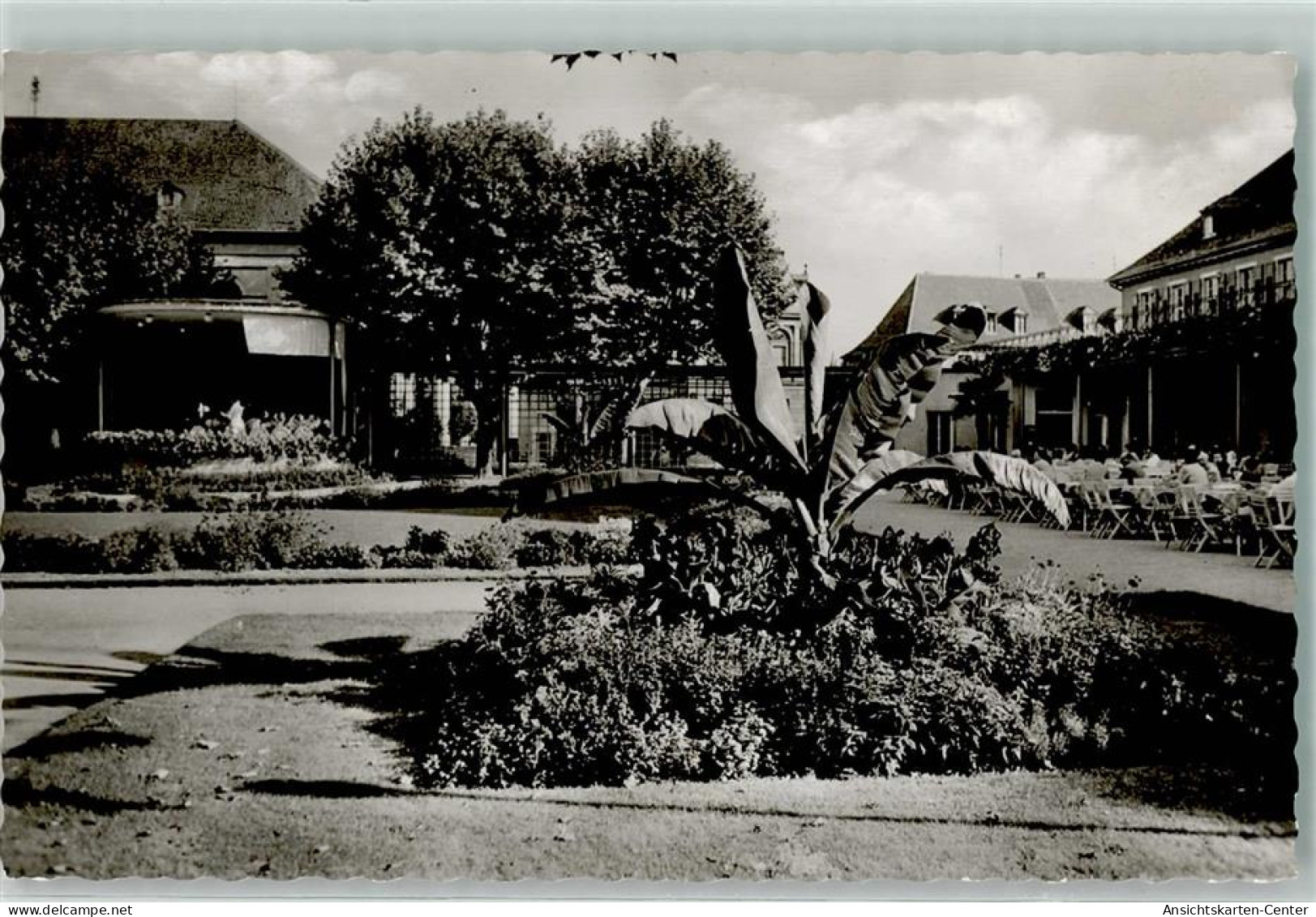 10487838 - Bad Duerkheim