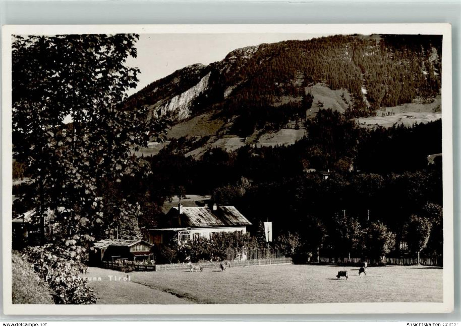 10491895 - Fieberbrunn