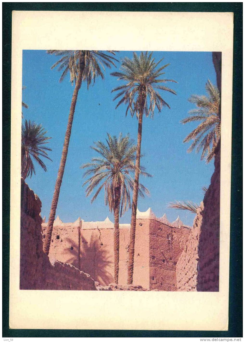 105033 / Archaeology Building Palms postcard 1985 PC Libia Libya Libyen Libye Libie