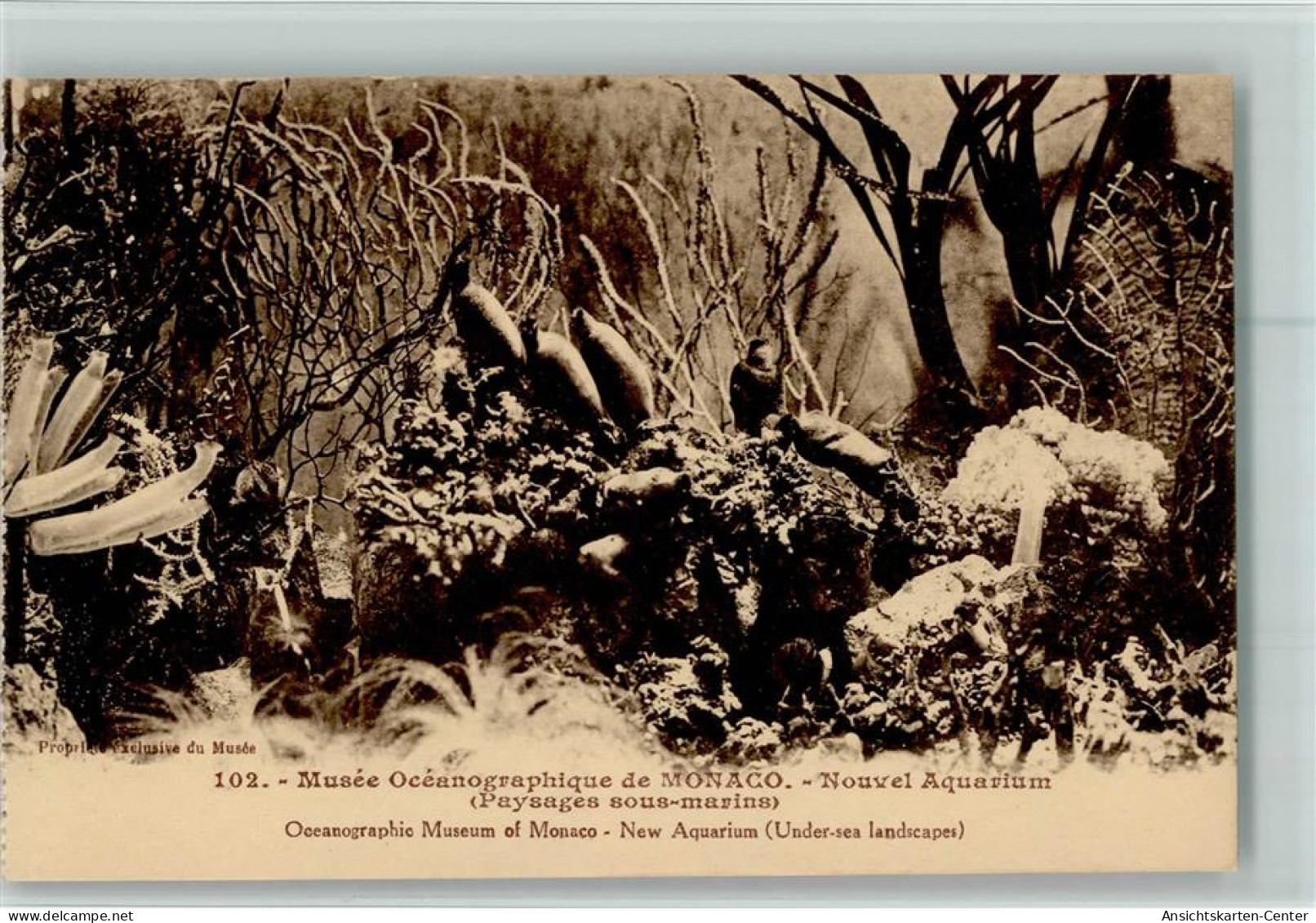10513867 - Nr. 102 - Musee Oceanographique - Aquarium