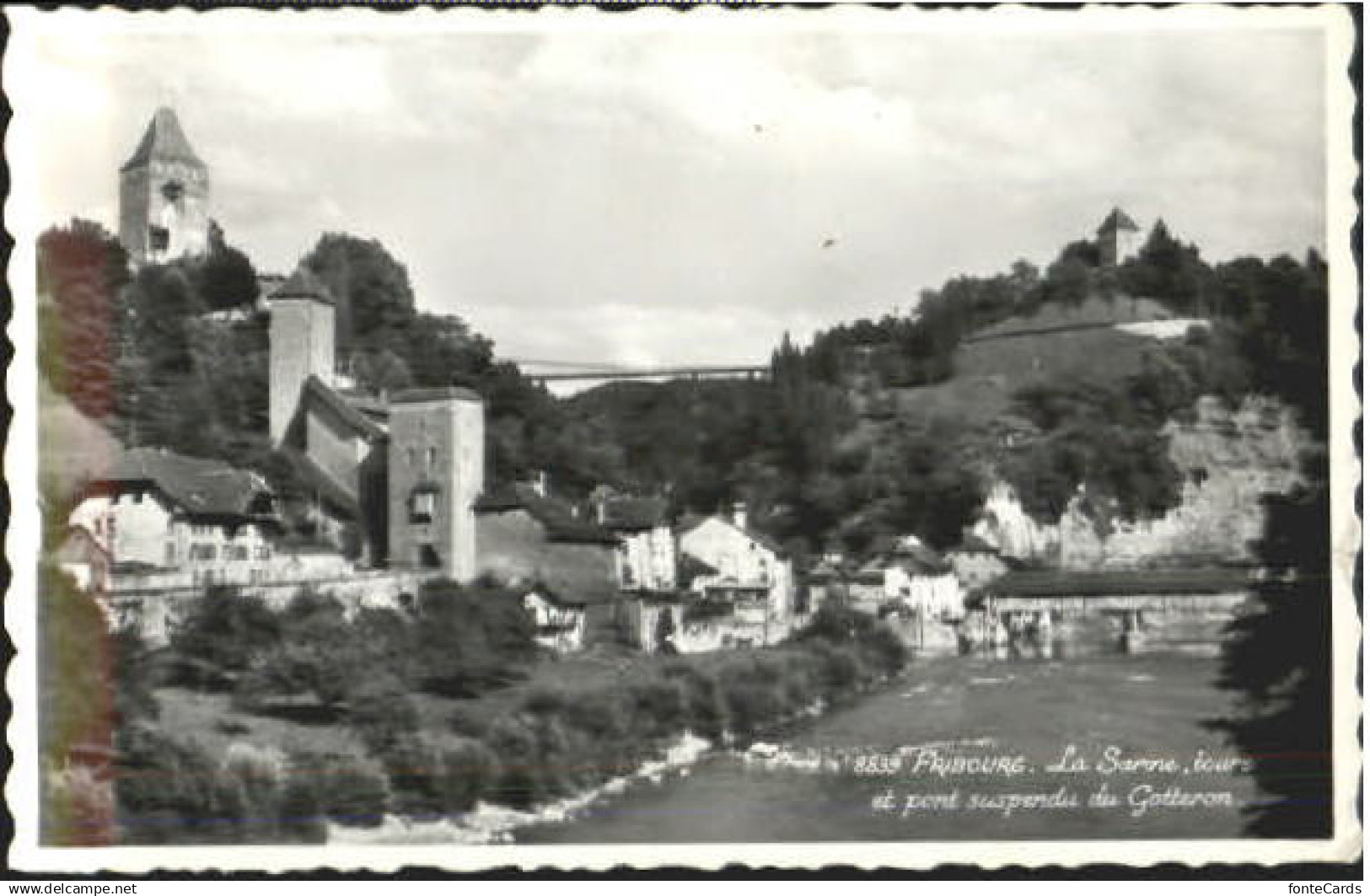 10559138 Fribourg FR Fribourg  x 1951