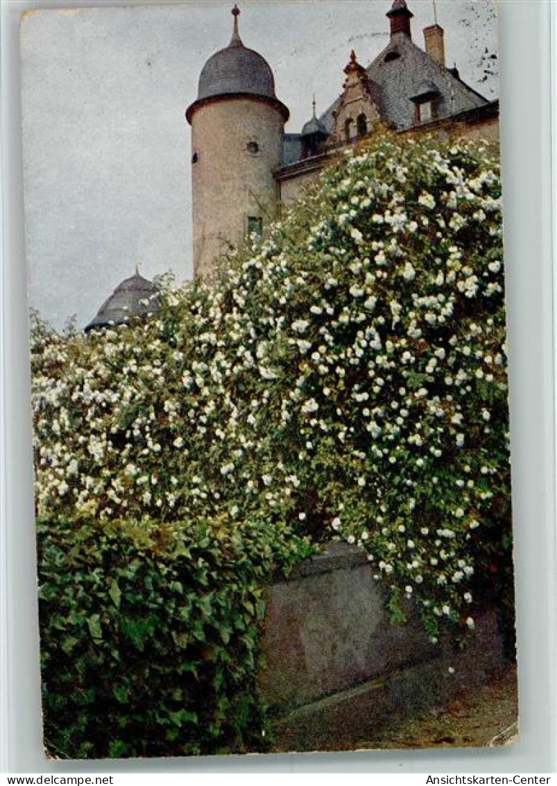 10559816 - Andernach