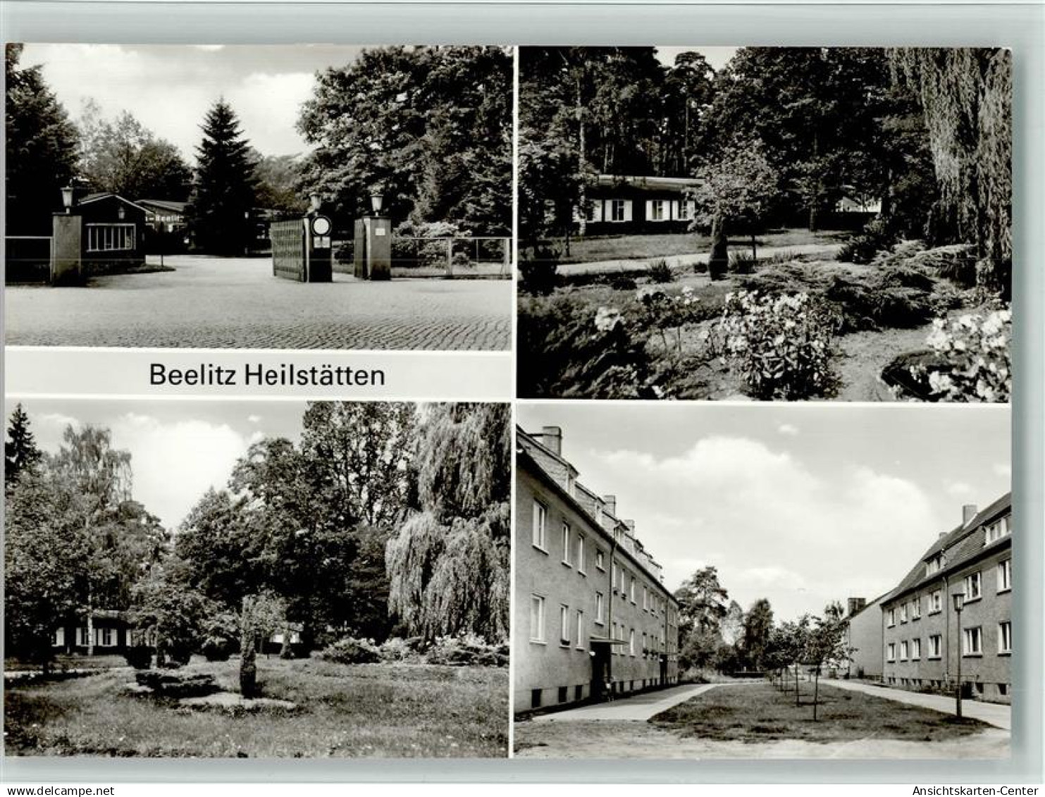 10562334 - Beelitz , Mark