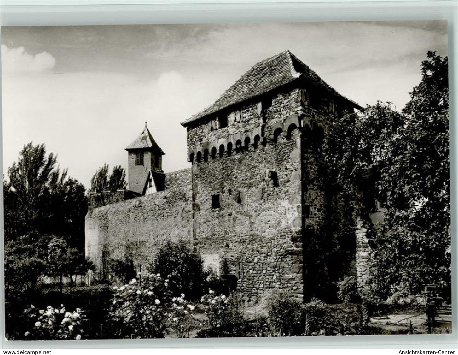 10562801 - Freinsheim