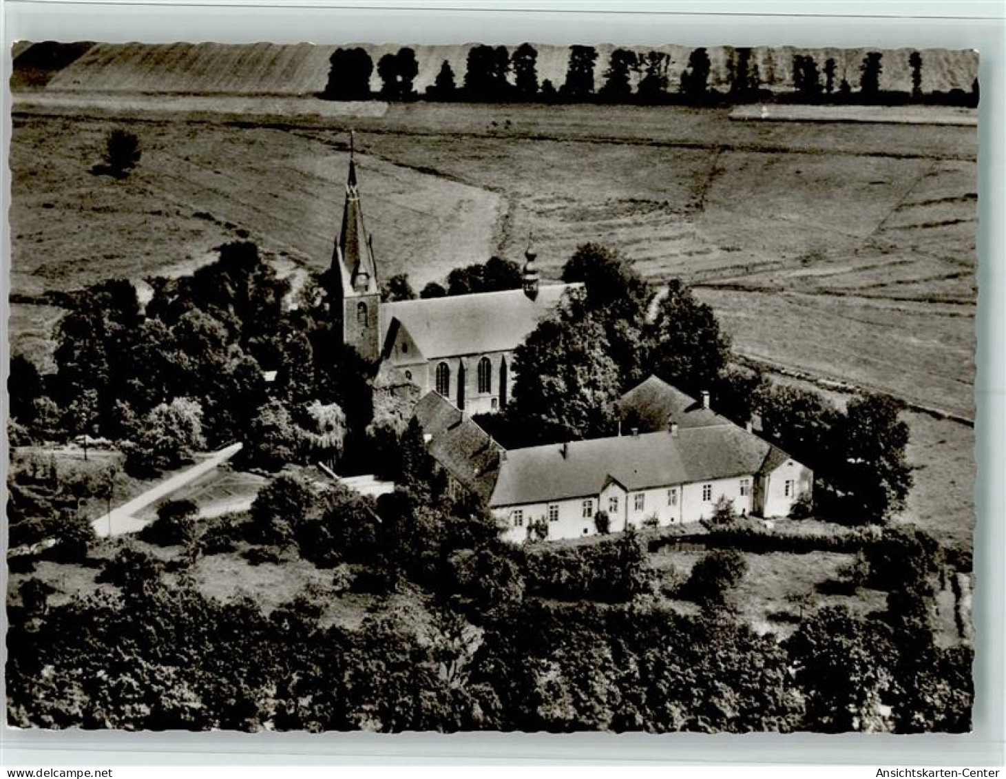 10566239 - Lage, Kloster , Hase