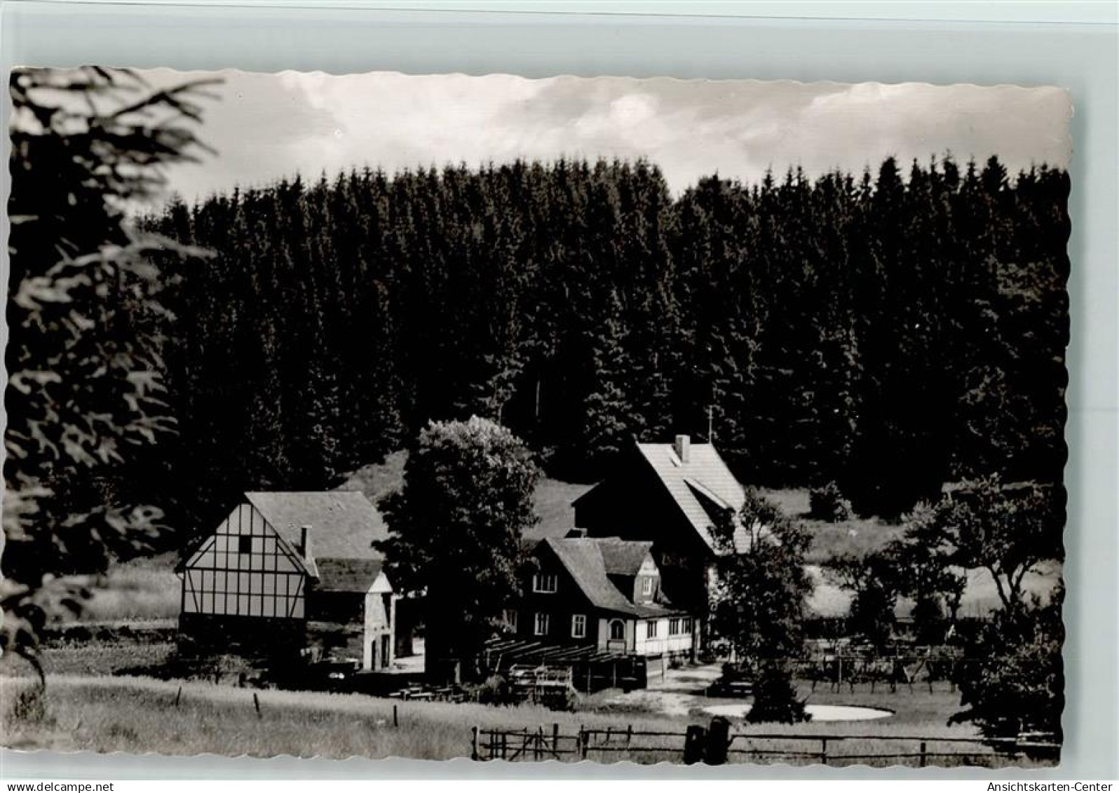 10567734 - Bad Berleburg