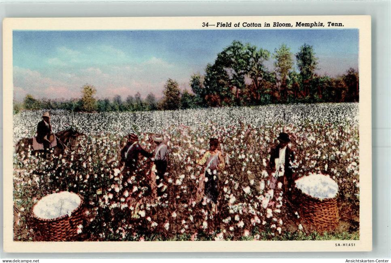 10568529 - Memphis TN