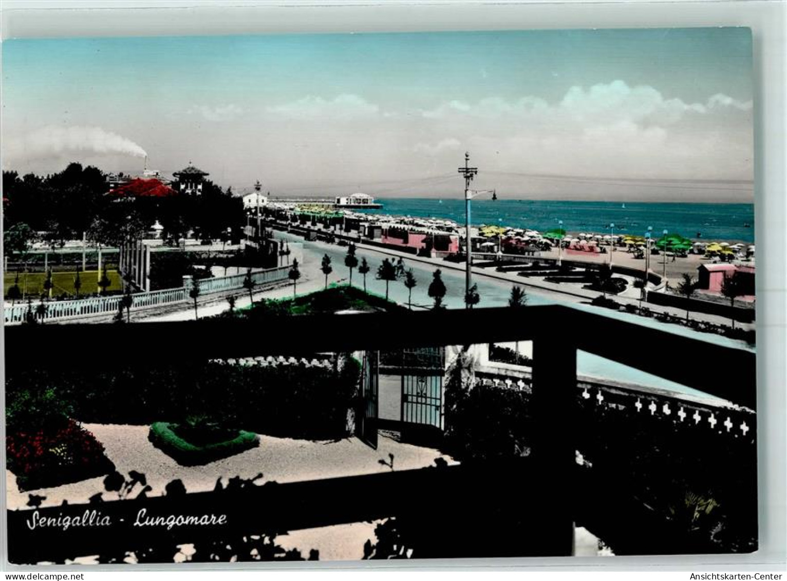 10582716 - Senigallia