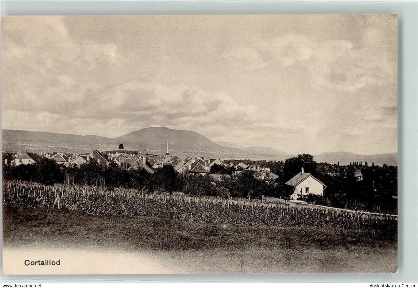 10604845 - Cortaillod