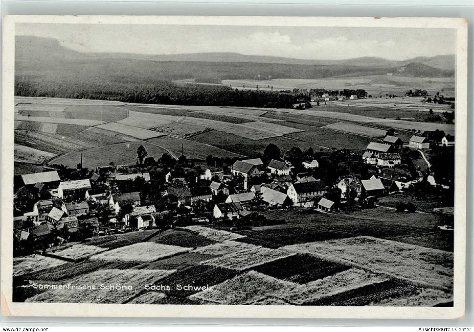 10615128 - Schoena b Pirna