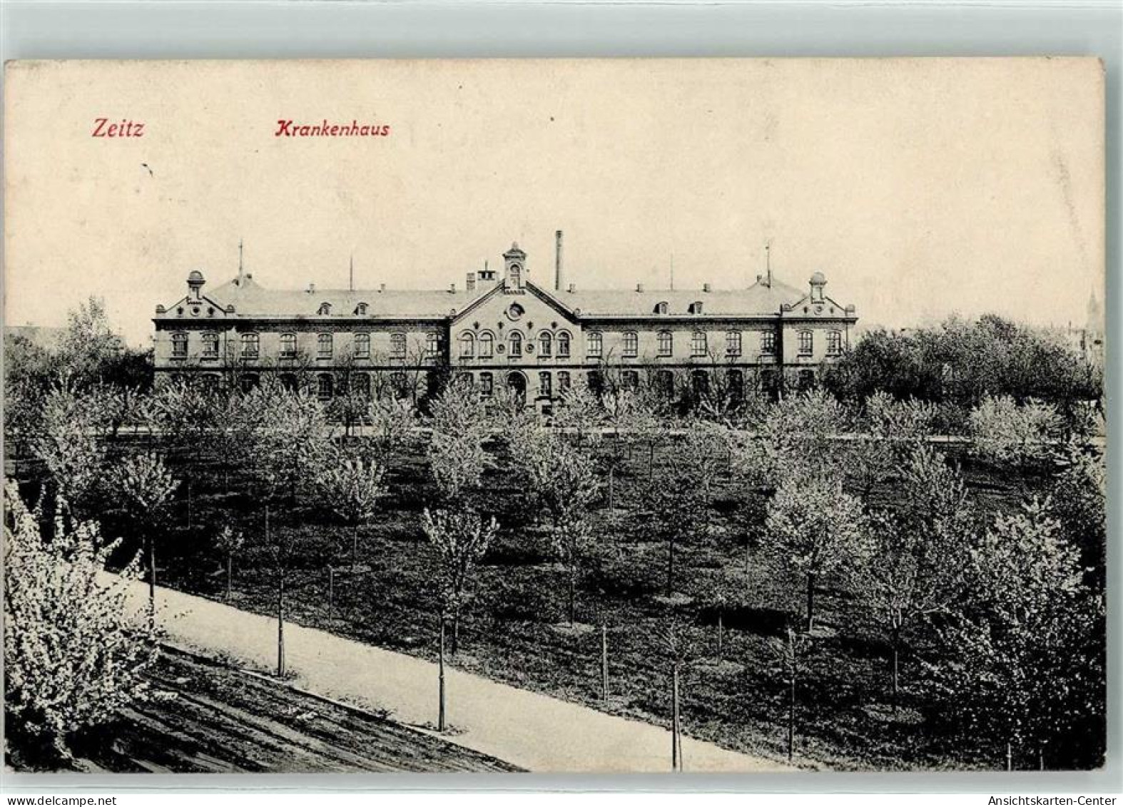 10617327 - Zeitz , Elster