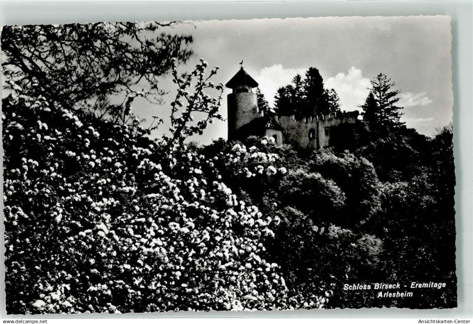 10620135 - Arlesheim