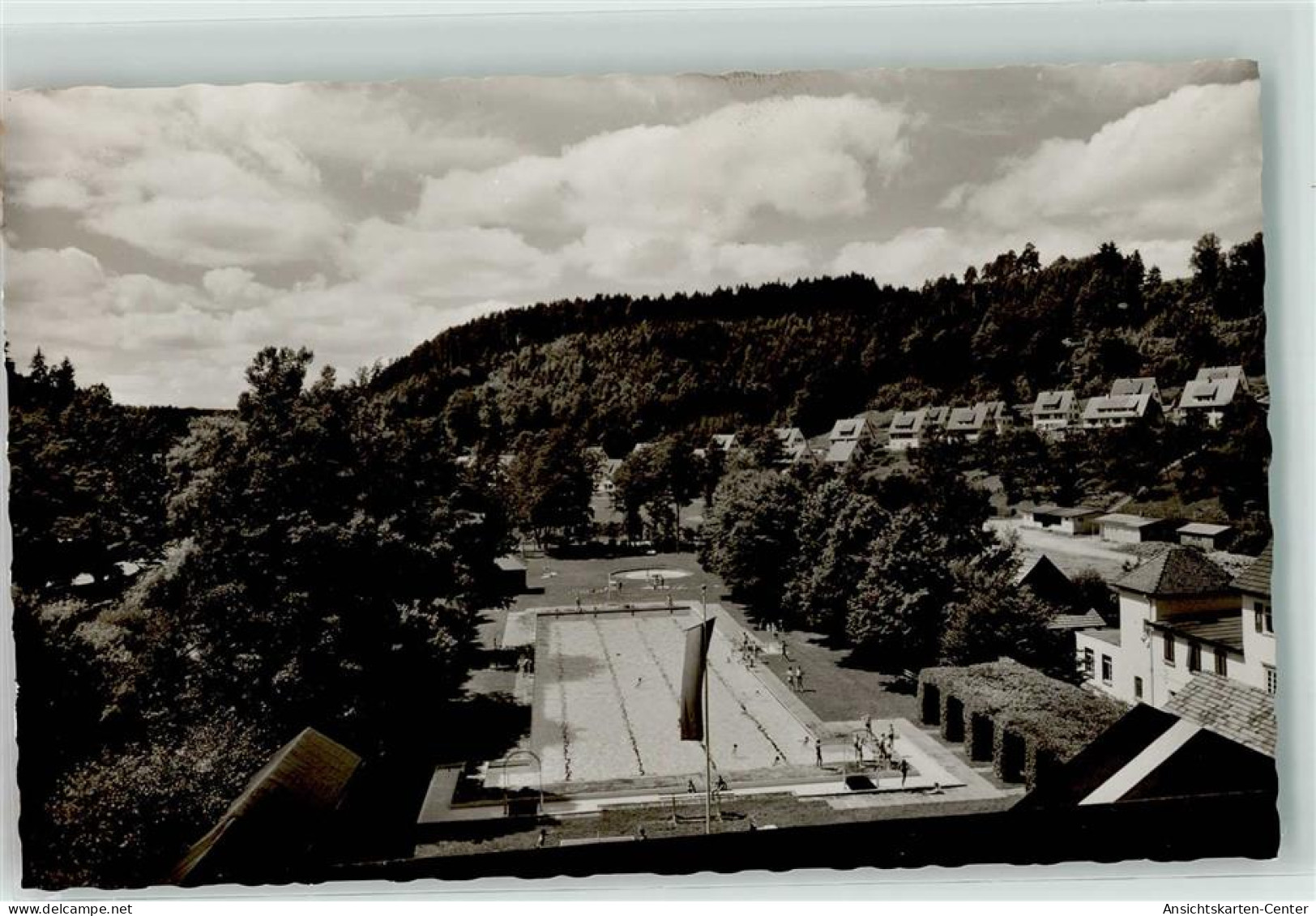 10631049 - Altensteig , Wuertt