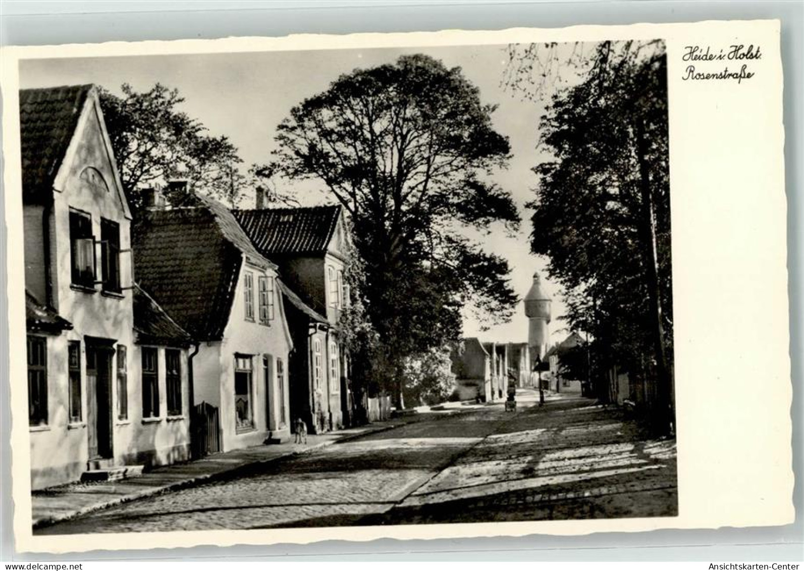 10631571 - Heide , Holst