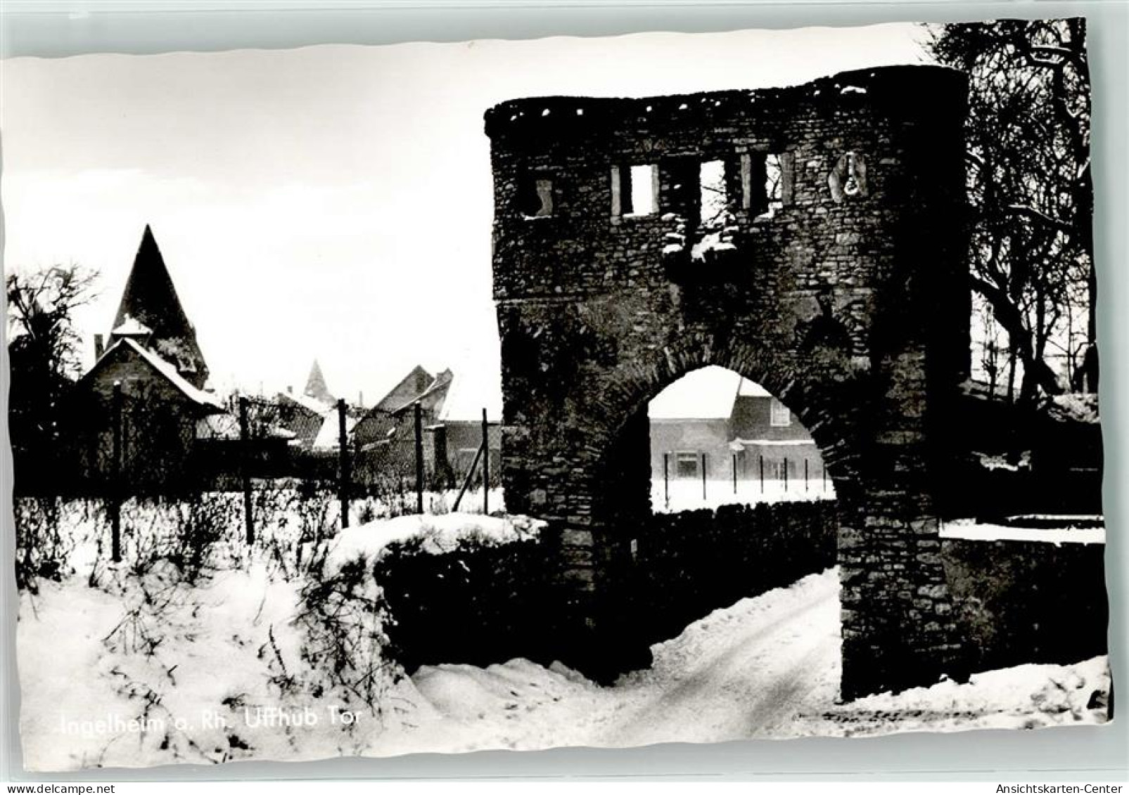 10632133 - Ingelheim am Rhein