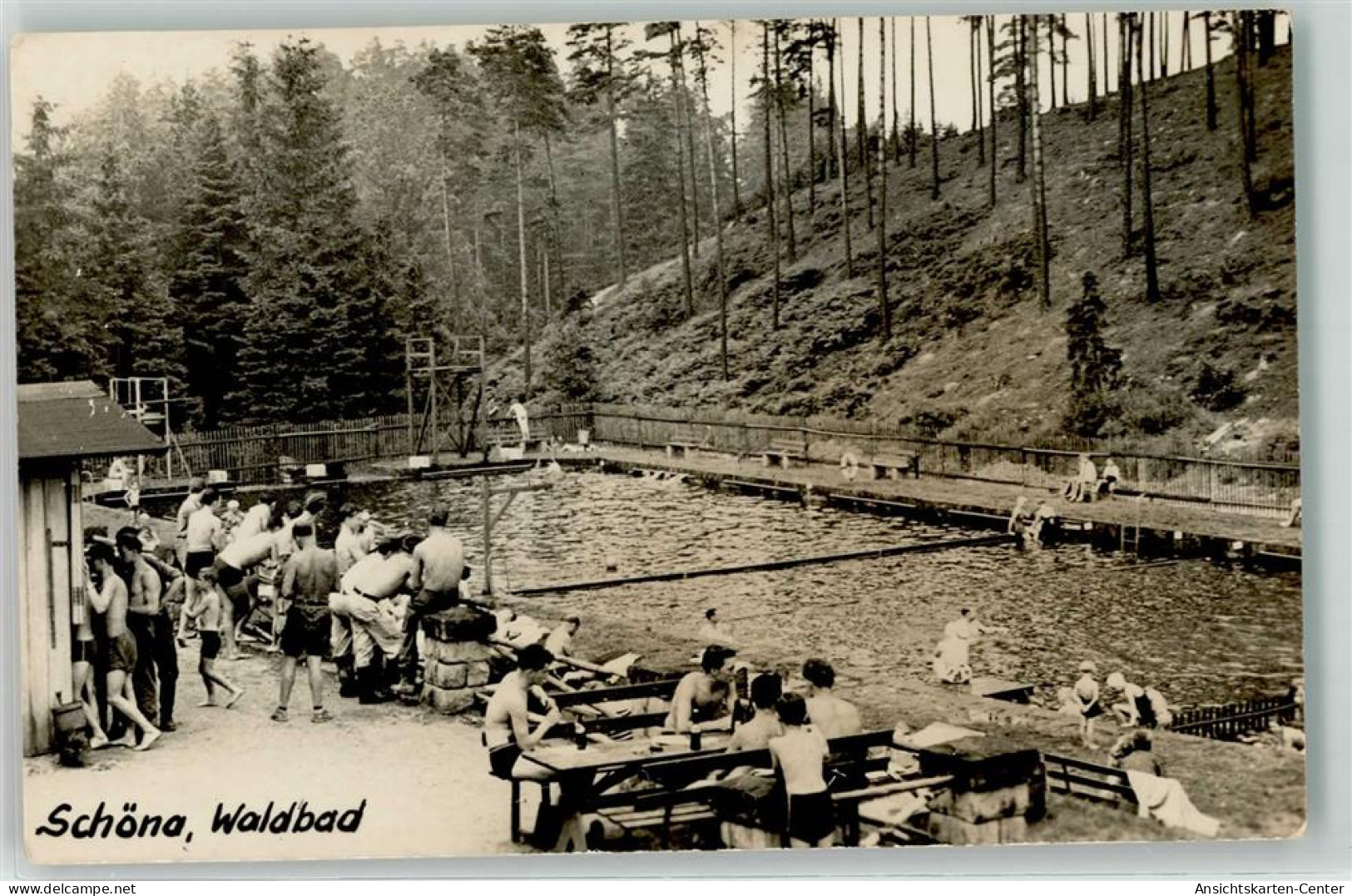 10635124 - Schoena b Gera