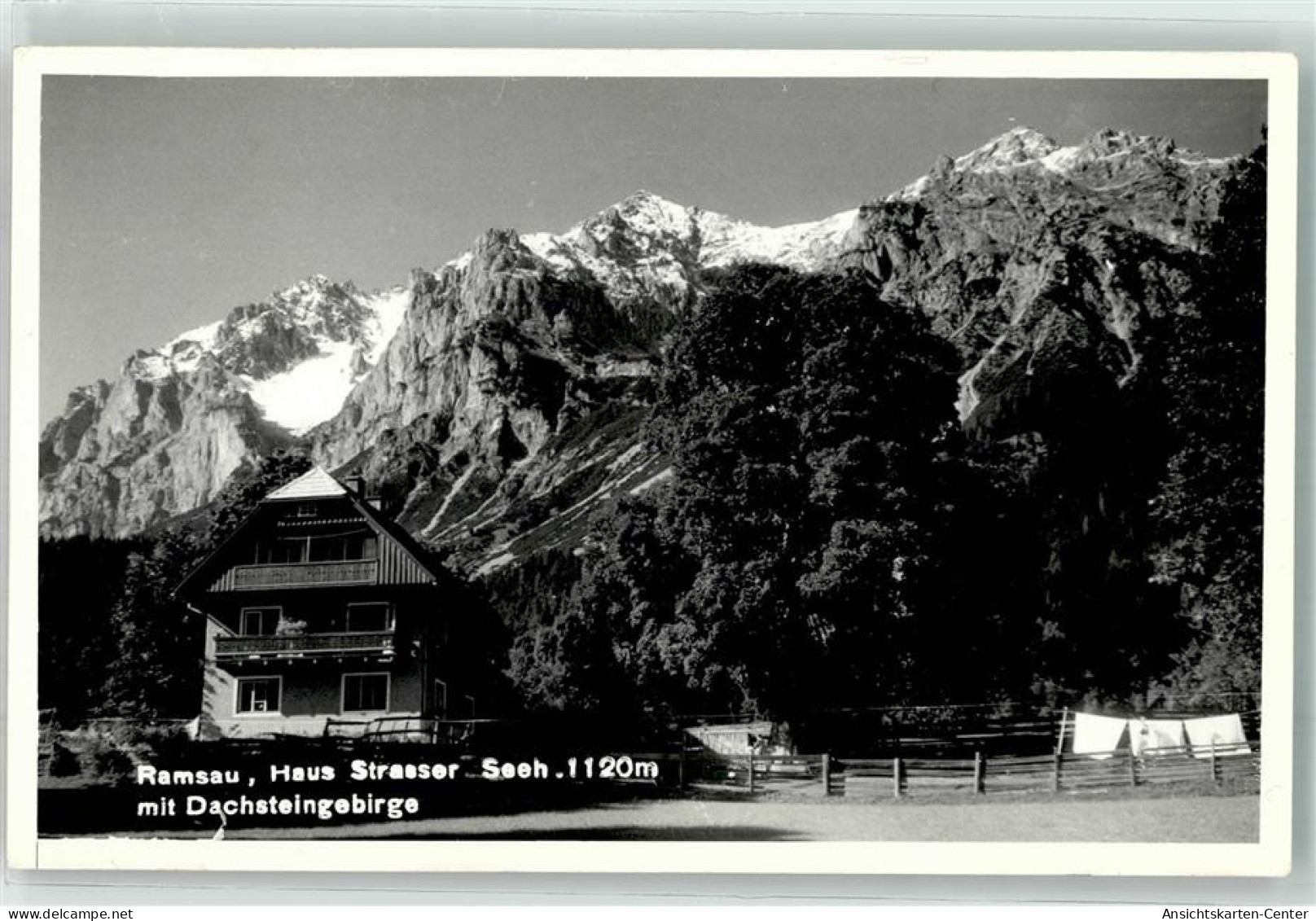 10646486 - Ramsau am Dachstein