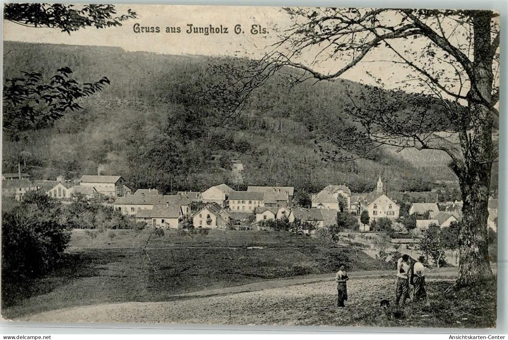 10650344 - Jungholtz Jungholz