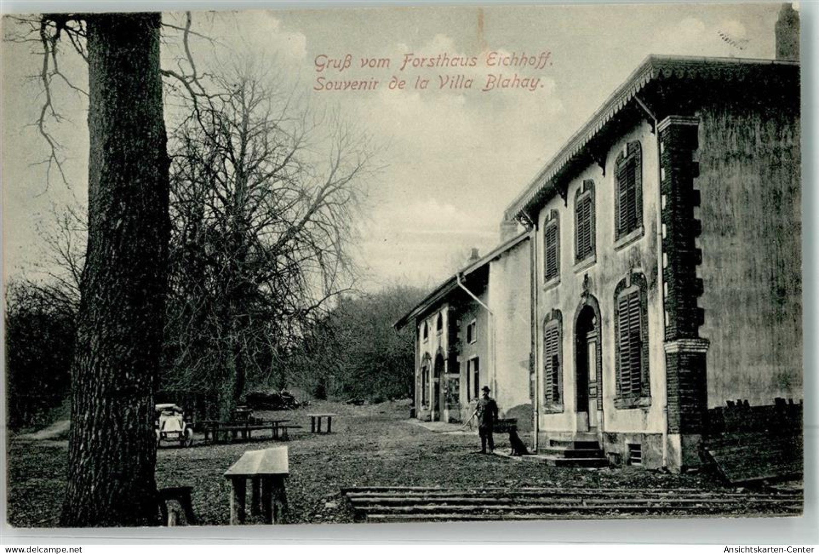 10650416 - Chateau-Salins