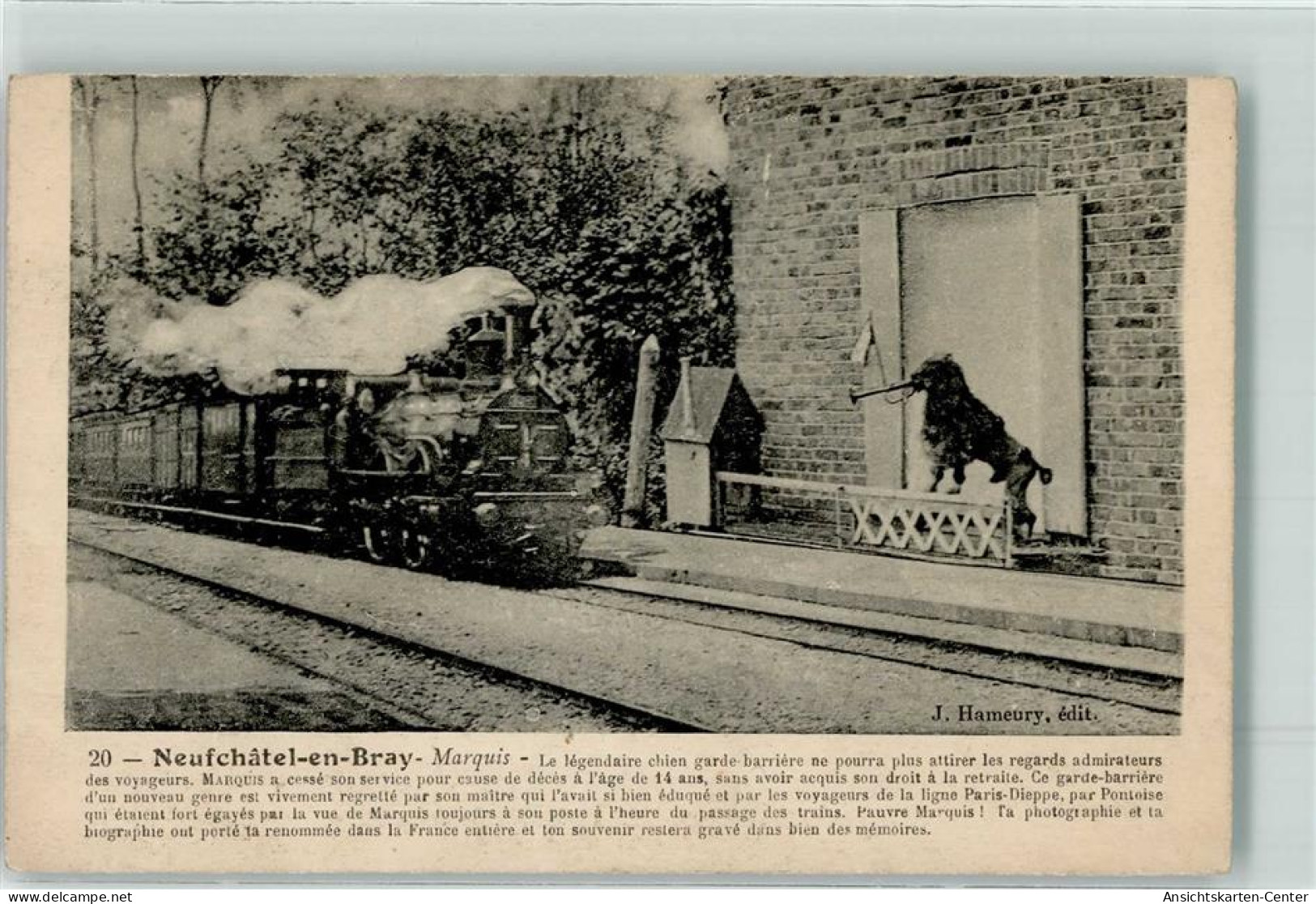 10653134 - Neufchatel-en-Bray