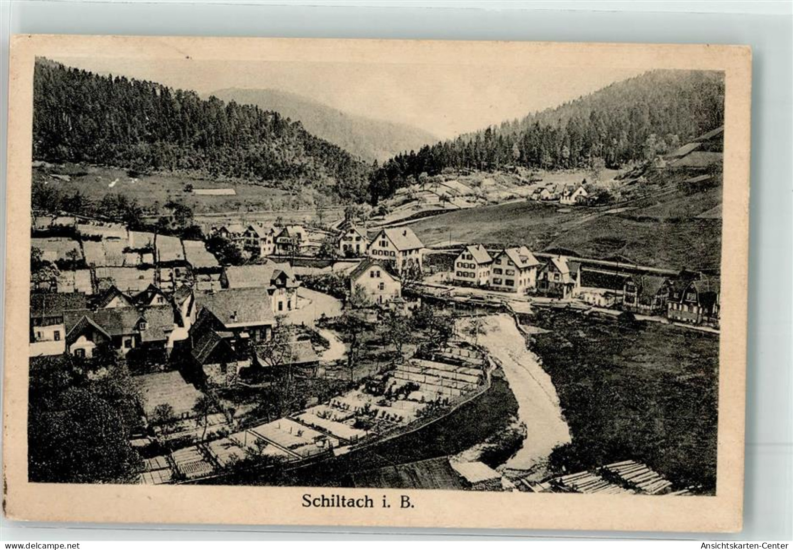 10657859 - Schiltach