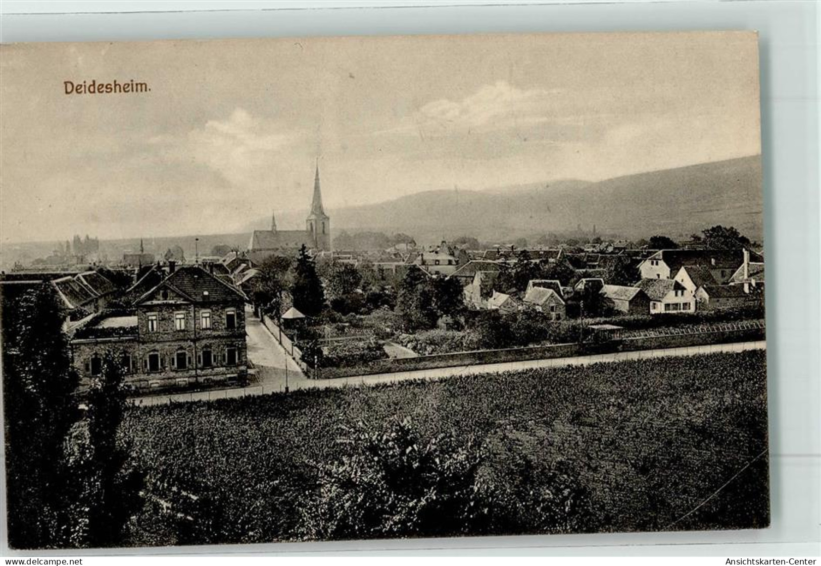 10659330 - Deidesheim