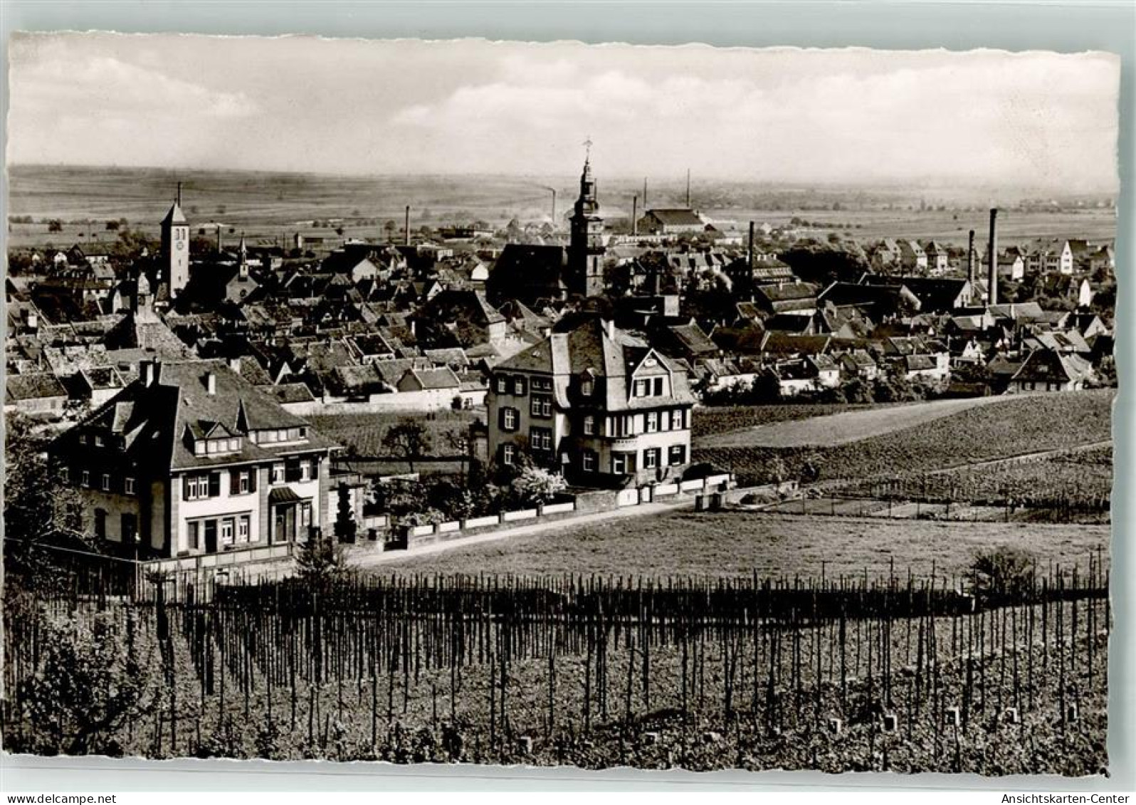 10681484 - Gruenstadt