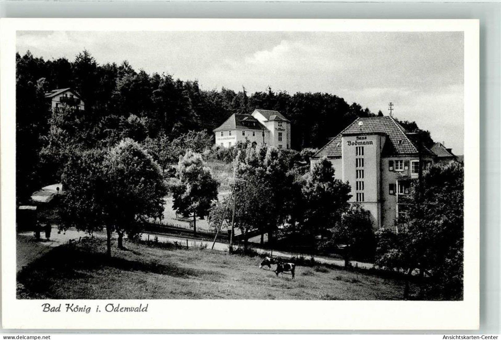 10681752 - Bad Koenig