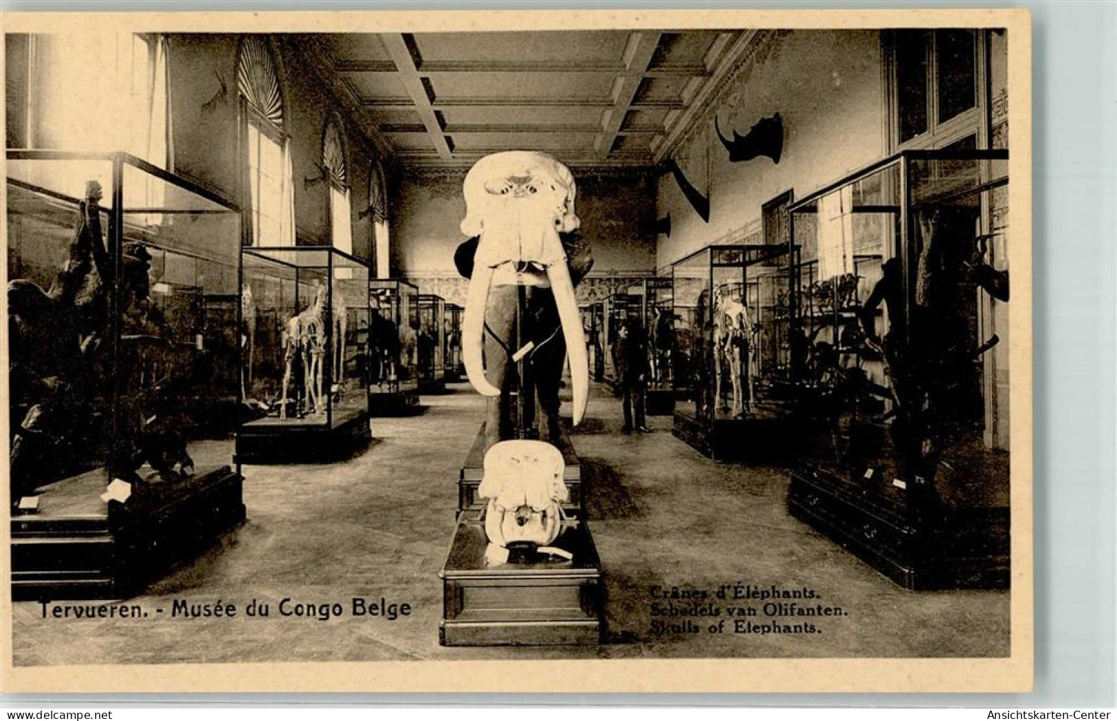 10687950 - Kinshasa Léopoldville