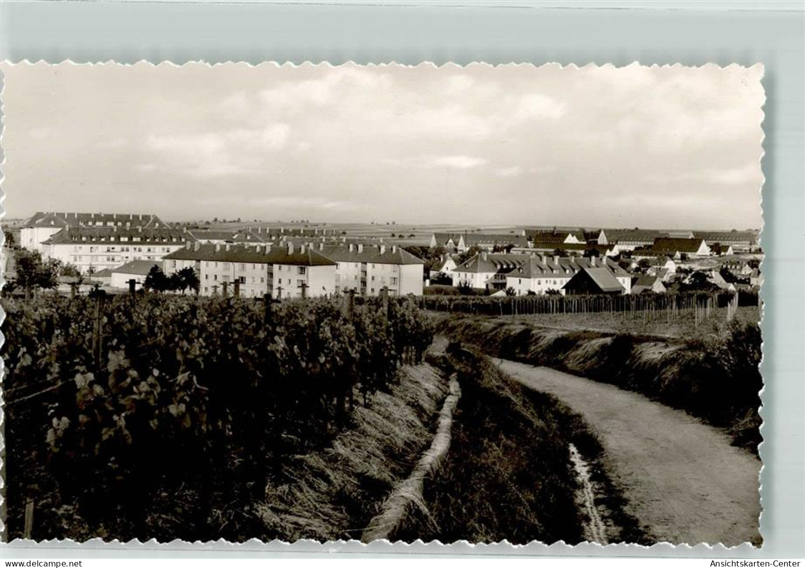 10688829 - Bad Bergzabern