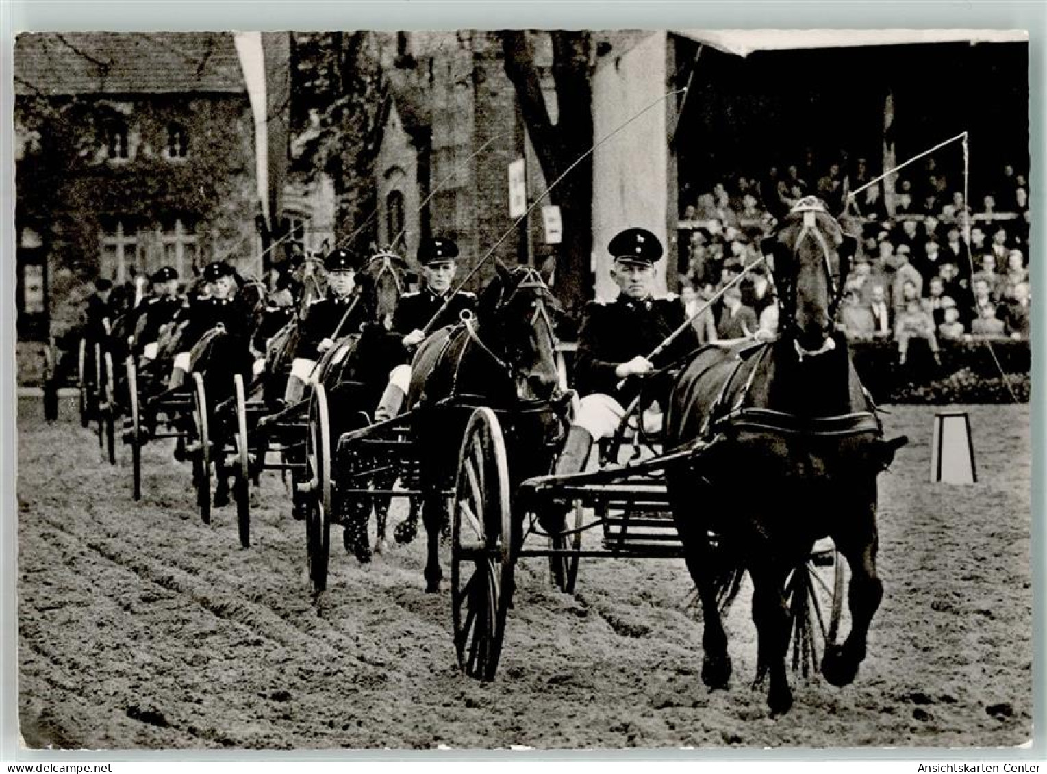 10691999 - Warendorf