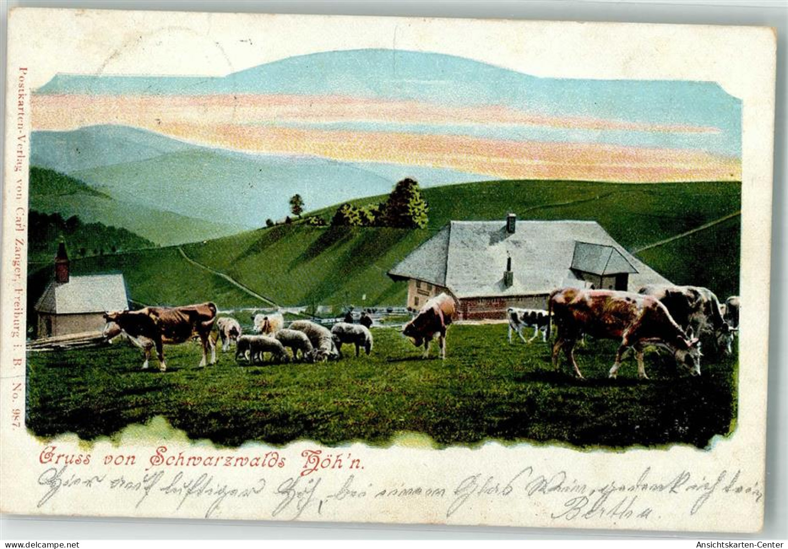 10695076 - Muenstertal , Schwarzwald