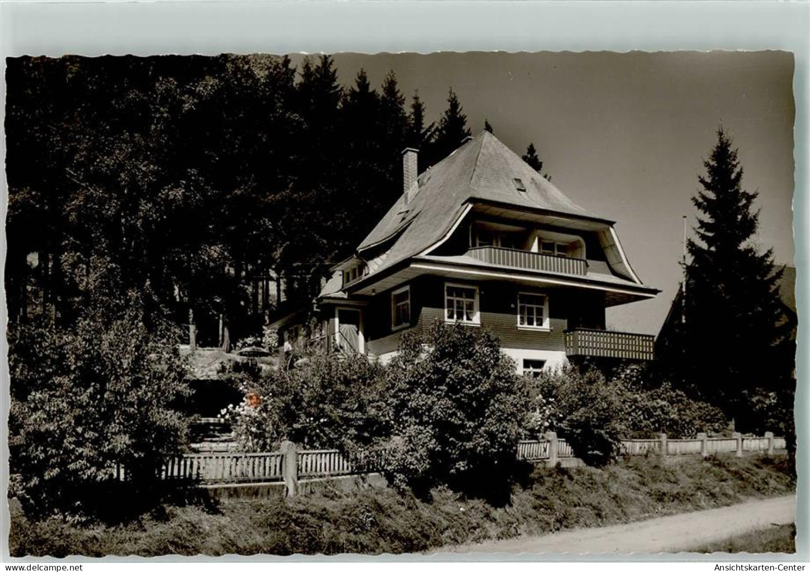 10697067 - Neustadt Titisee-Neustadt