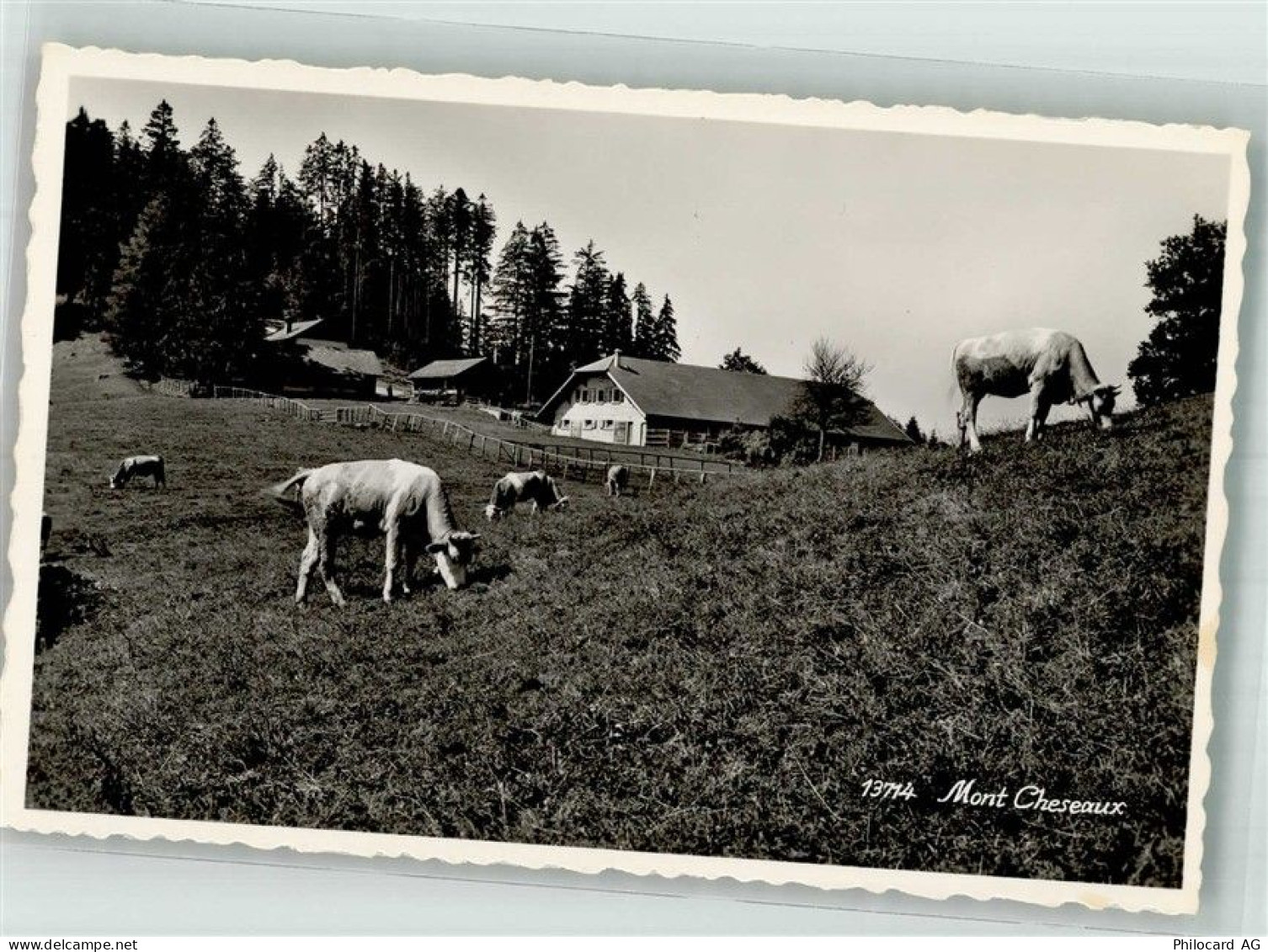 1070 Puidoux Foto AK Mont Cheseaux - 38216993