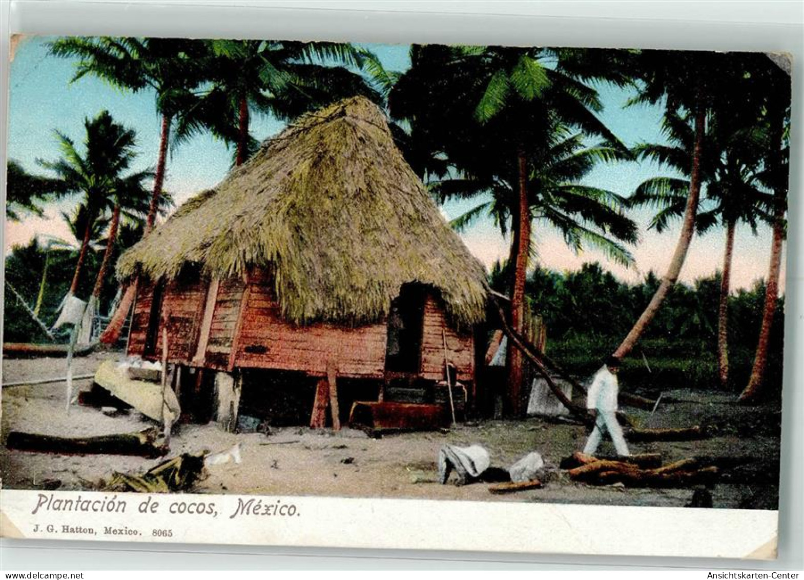 10700778 - Mexiko City