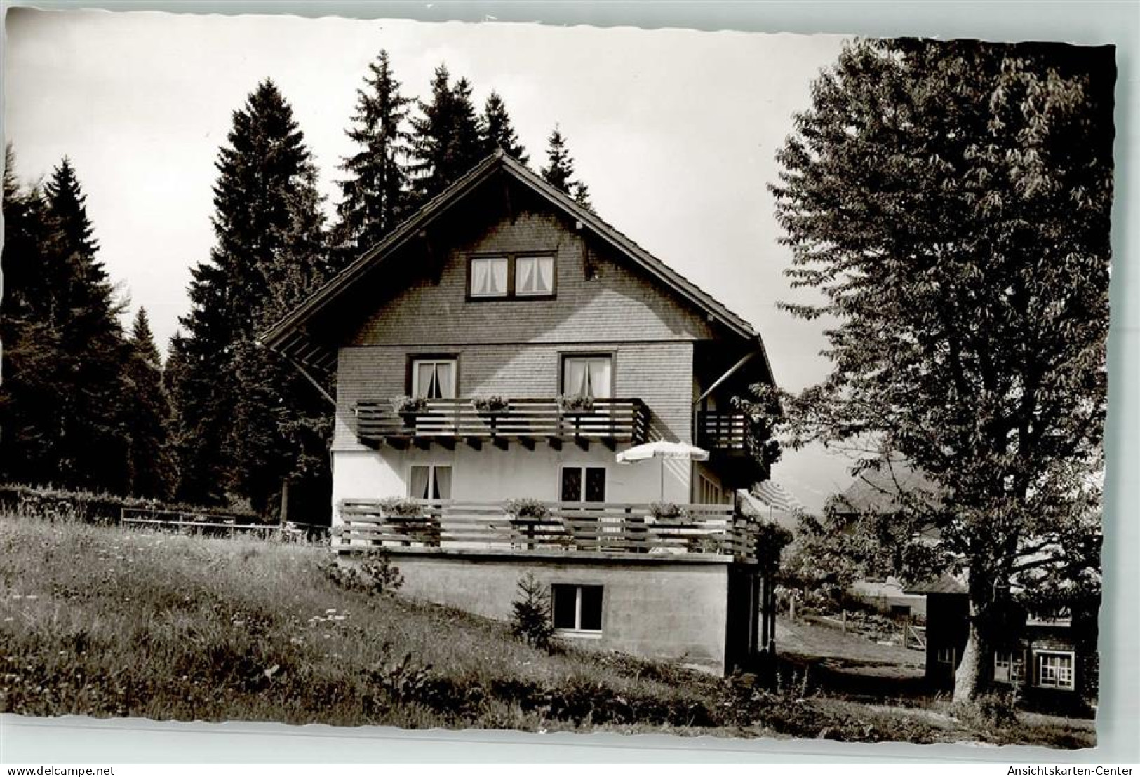 10701880 - Hinterzarten