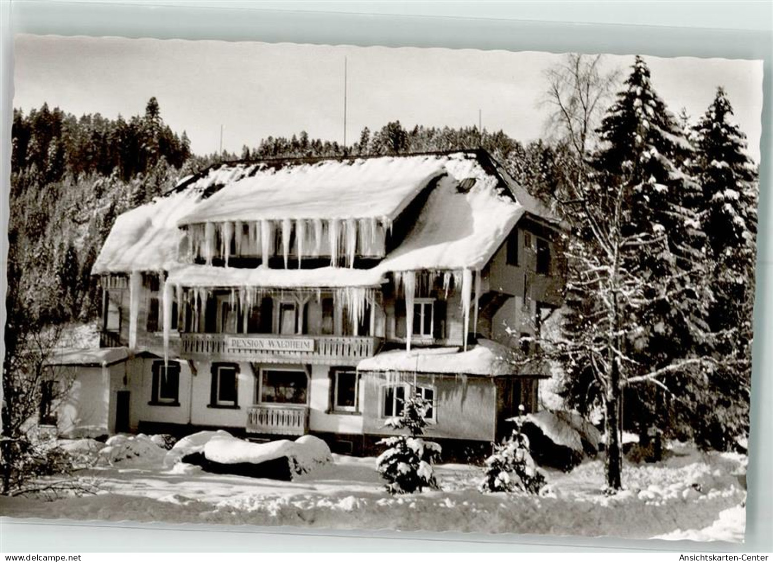 10701886 - Hinterzarten