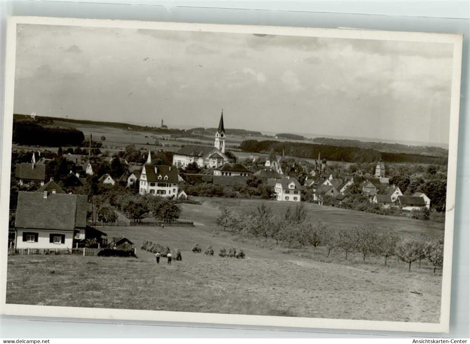 10706525 - Weissenhorn