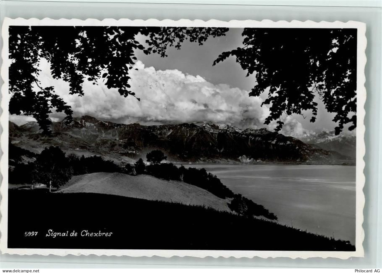 1071 Chexbres - Signal de Chexbres - 11062869